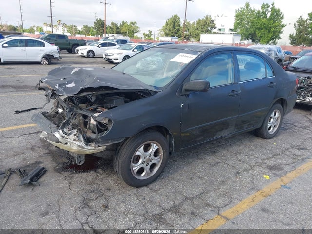45250616 :رقم المزاد ، 2T1BR32E83C061955 vin ، 2003 Toyota Corolla Le مزاد بيع