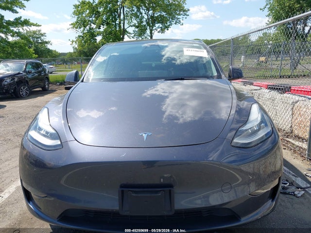 Продаж на аукціоні авто 2023 Tesla Model Y Awd/long Range Dual Motor All-wheel Drive, vin: 7SAYGDEE5PA116493, номер лоту: 45250699
