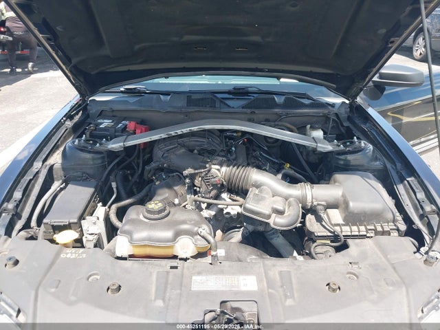 45251195 :رقم المزاد ، 1ZVBP8EM8D5250784 vin ، 2013 Ford Mustang V6 مزاد بيع
