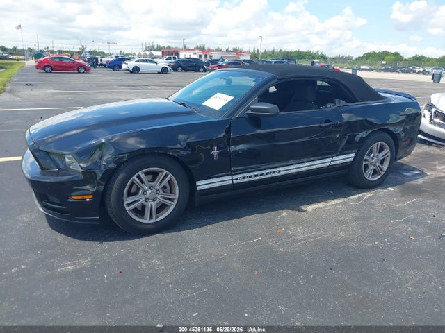 45251195 :رقم المزاد ، 1ZVBP8EM8D5250784 vin ، 2013 Ford Mustang V6 مزاد بيع