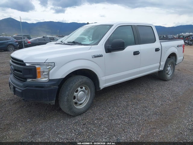 Aukcja sprzedaży 2020 Ford F-150 Xl, vin: 1FTEW1EB6LKF21723, numer aukcji: 45254517