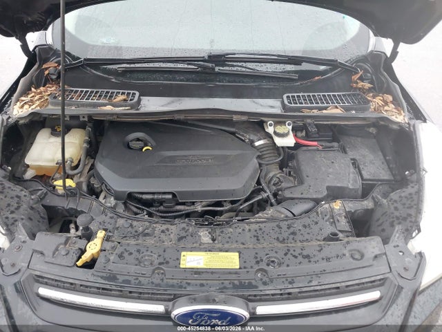 Aukcja sprzedaży 2014 Ford Escape Se, vin: 1FMCU0GX3EUB39569, numer aukcji: 45254838