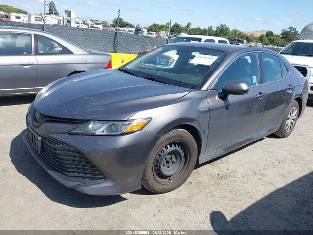 4T1B31HK0KU514109 Toyota Camry Hybrid Le