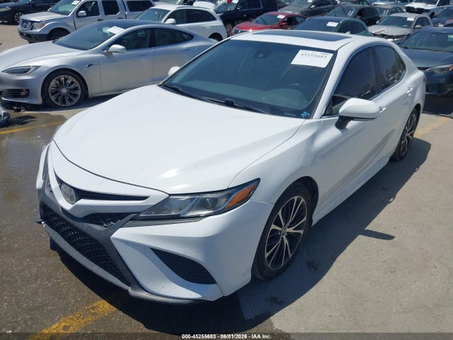 4T1B11HK7KU725233 Toyota CAMRY SE