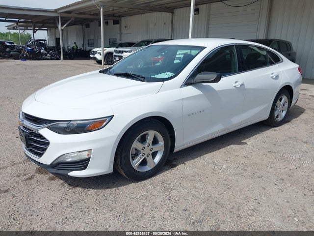 1G1ZC5ST7LF137305 Chevrolet Malibu Fwd 1fl