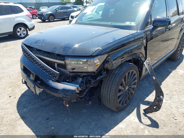Hyundai Santa Fe Calligraphy 2024 5NMP5DGL7RH031024 Image 6