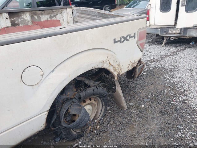 Auction sale of the 2010 Ford F-150 Xl/xlt, vin: 1FTNF1E86AKE43560, lot number: 45257015