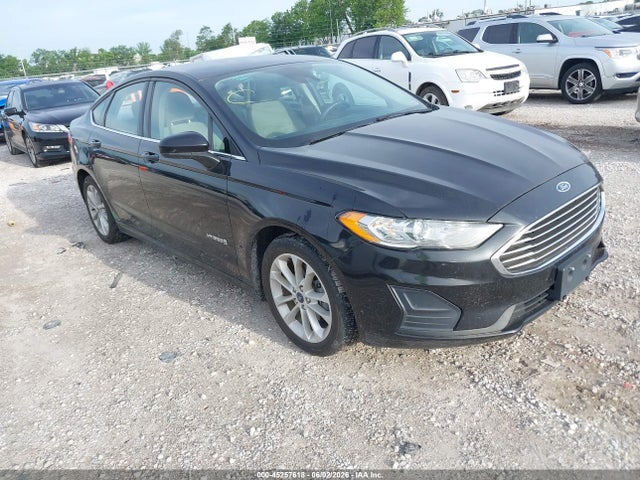 2019 3FA6P0LU1KR183955 головне зображення