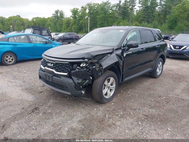 KIA SORENTO LX 2023 5XYRGDLC3PG215425 Image 2