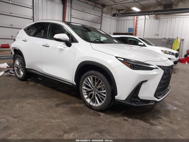 45259372 :رقم المزاد ، 2T2HGCEZ5TC107297 vin ، 2026 Lexus Nx 350 Luxury مزاد بيع