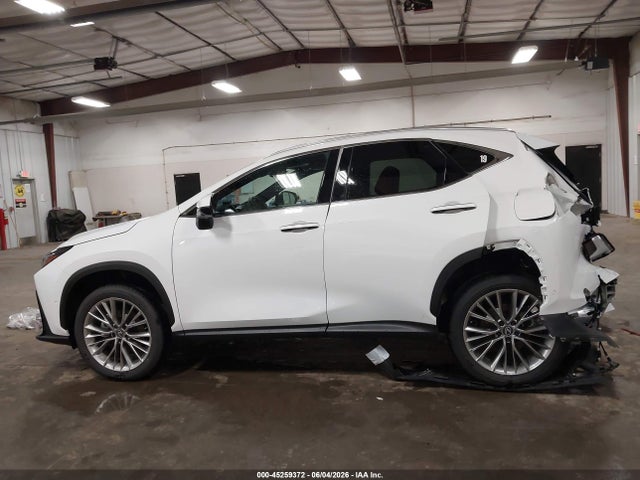 45259372 :رقم المزاد ، 2T2HGCEZ5TC107297 vin ، 2026 Lexus Nx 350 Luxury مزاد بيع
