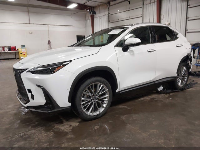 45259372 :رقم المزاد ، 2T2HGCEZ5TC107297 vin ، 2026 Lexus Nx 350 Luxury مزاد بيع