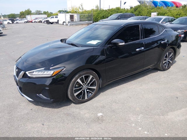 Nissan Maxima Sv Xtronic Cvt 2022 1N4AA6CV7NC504844 Image 2