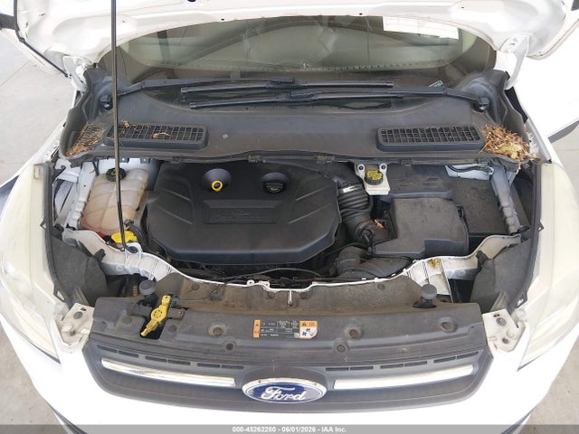 Ford ESCAPE SE 2014 1FMCU9G91EUE01806 Image 10