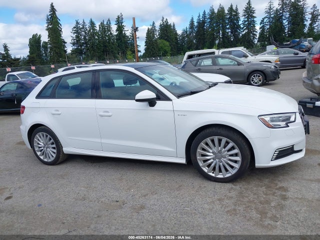 Audi A3 E-tron 1.4t Premium 2017 WAUUPBFF8HA044769 Image 13