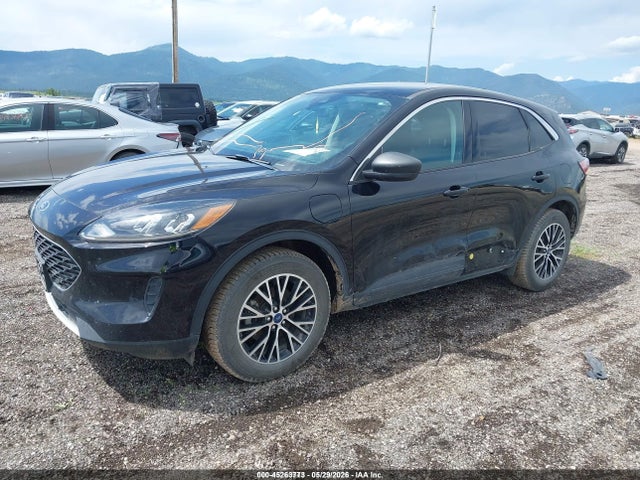 1FMCU0EZ3NUA91317 Ford Escape Se Plug-in Hybrid
