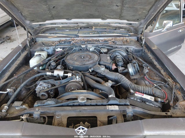 Продаж на аукціоні авто 1988 Plymouth Gran Fury Caravelle, vin: 1P3BB26P7JW126499, номер лоту: 45263889