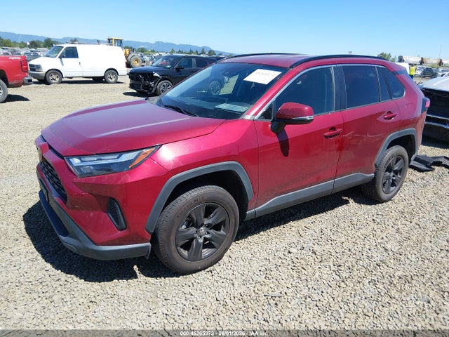 Toyota Rav4 Xle 2022 2T3P1RFV0NW256144 Image 2