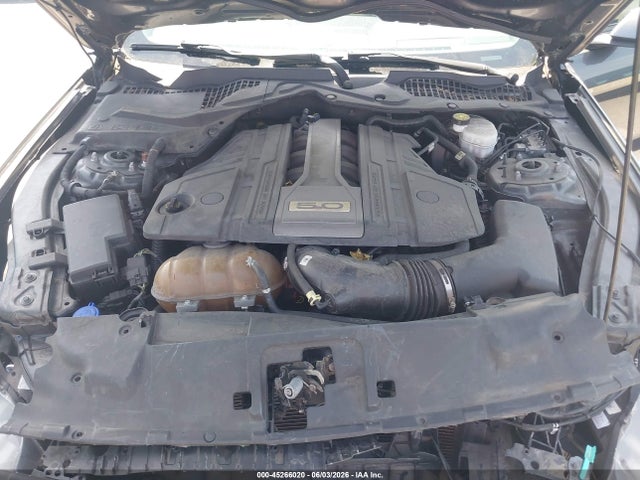 45266020 :رقم المزاد ، 1FA6P8CF9L5114239 vin ، 2020 Ford Mustang Gt Fastback مزاد بيع
