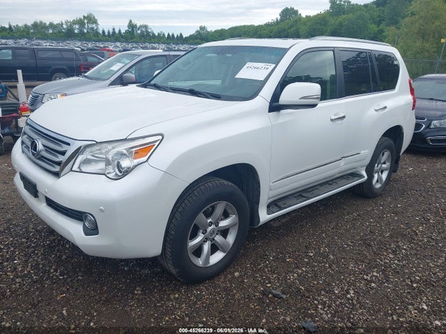 2013 Lexus Gx 460 მანქანა იყიდება აუქციონზე, vin: JTJBM7FX1D5062233, აუქციონის ნომერი: 45266239