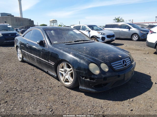 Auction sale of the 2003 Mercedes-benz Cl 55 Amg, vin: WDBPJ74J23A036664, lot number: 45268059