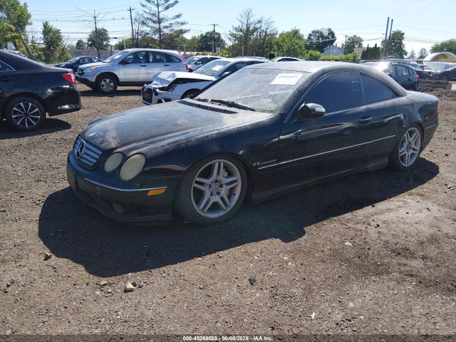 Auction sale of the 2003 Mercedes-benz Cl 55 Amg, vin: WDBPJ74J23A036664, lot number: 45268059