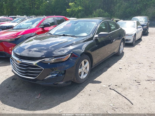 45268231 :رقم المزاد ، 1G1ZB5ST4KF145105 vin ، 2019 Chevrolet Malibu 1ls مزاد بيع