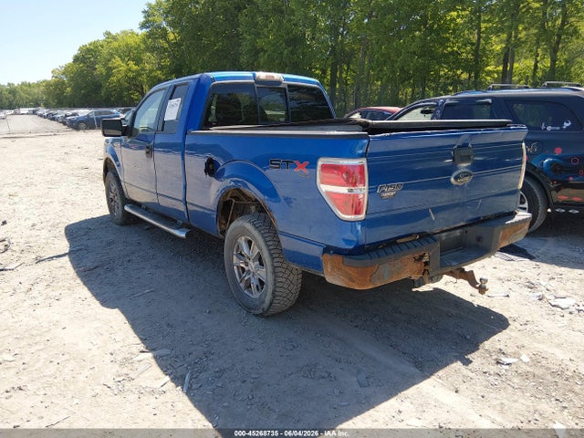 Aukcja sprzedaży 2010 Ford F-150 Stx/xl, vin: 1FTEX1EW8AFC80768, numer aukcji: 45268735