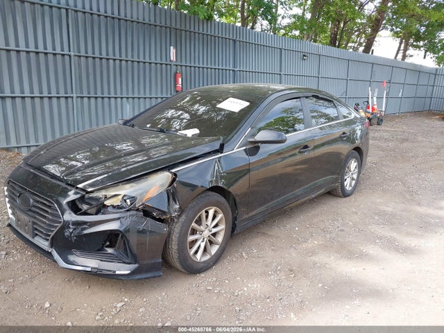 Aukcja sprzedaży 2019 Hyundai Sonata Se, vin: 5NPE24AF8KH750259, numer aukcji: 45268766