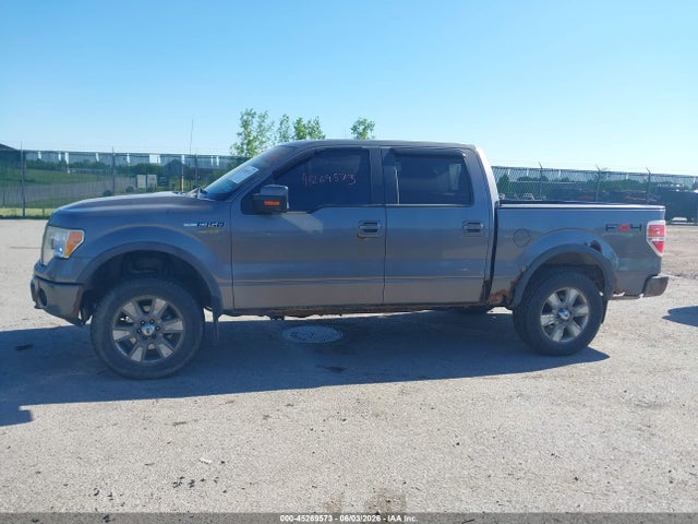 45269573 :رقم المزاد ، 1FTFW1EV8AFD90380 vin ، 2010 Ford F-150 Fx4/harley-davidson/king Ranch/lariat/platinum/xl/xlt مزاد بيع