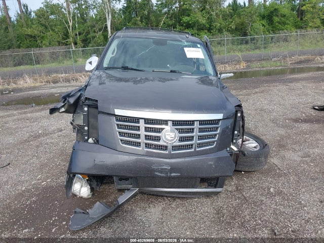 Продажа на аукционе авто 2010 Cadillac Escalade Premium, vin: 1GYUCCEF5AR219440, номер лота: 45269609