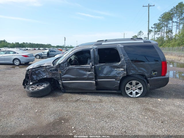 Продажа на аукционе авто 2010 Cadillac Escalade Premium, vin: 1GYUCCEF5AR219440, номер лота: 45269609