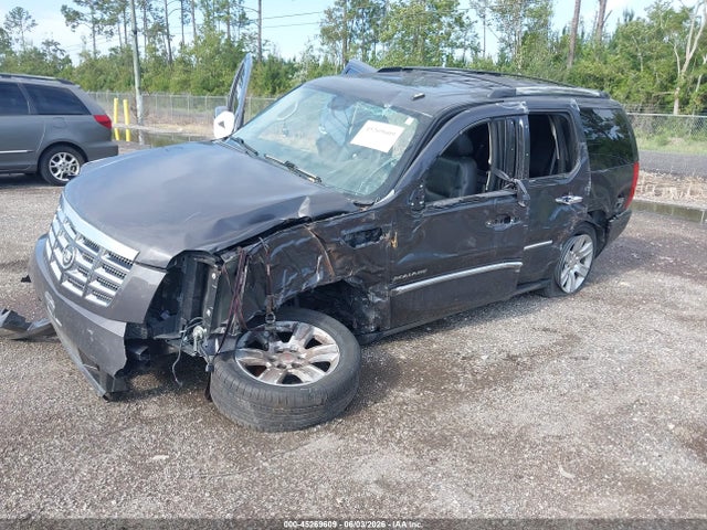 Продажа на аукционе авто 2010 Cadillac Escalade Premium, vin: 1GYUCCEF5AR219440, номер лота: 45269609