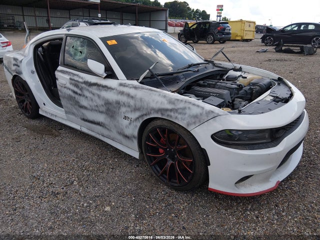 Dodge Charger Scat Pack Rwd 2019 2C3CDXGJ1KH520090 главное изображение