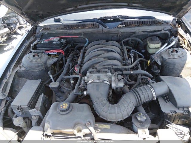 Aukcja sprzedaży 2006 Ford Mustang Gt, vin: 1ZVHT82H165257642, numer aukcji: 45275723
