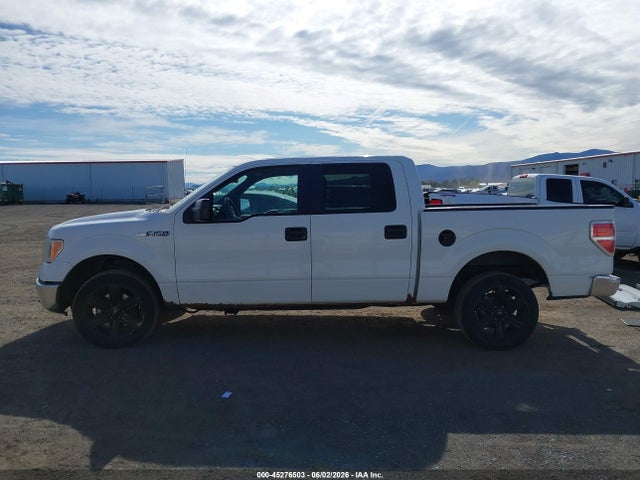 45276503 :رقم المزاد ، 1FTEW1CM1BFA52598 vin ، 2011 Ford F150 Supercrew مزاد بيع