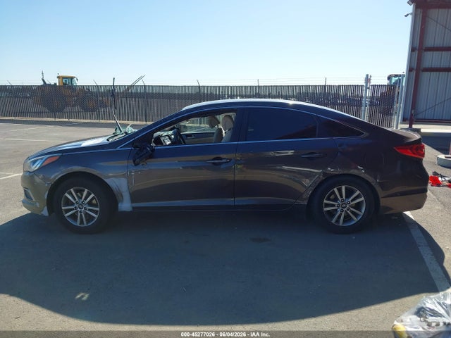5NPE24AF9GH396646 Hyundai Sonata