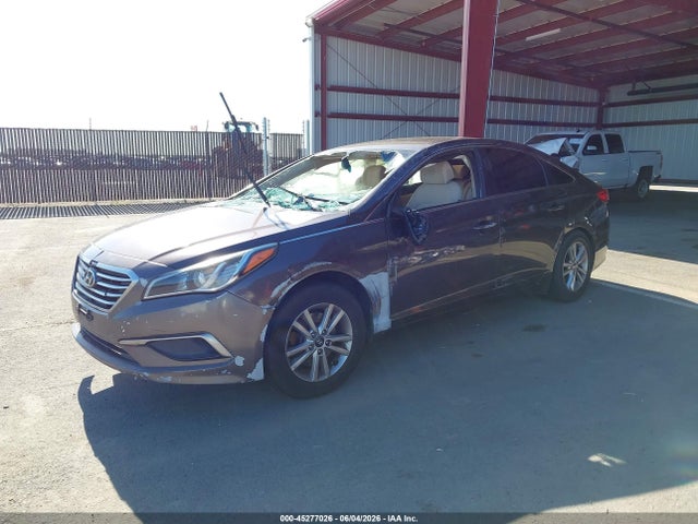 5NPE24AF9GH396646 Hyundai Sonata