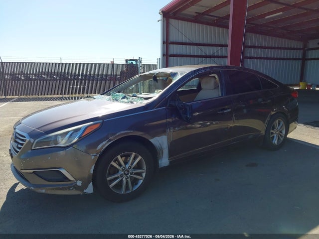 5NPE24AF9GH396646 Hyundai Sonata
