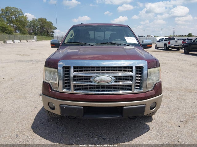 45277652 :رقم المزاد ، 1FTPW14V19KB98954 vin ، 2009 Ford F-150 Fx4/king Ranch/lariat/platinum/xl/xlt مزاد بيع