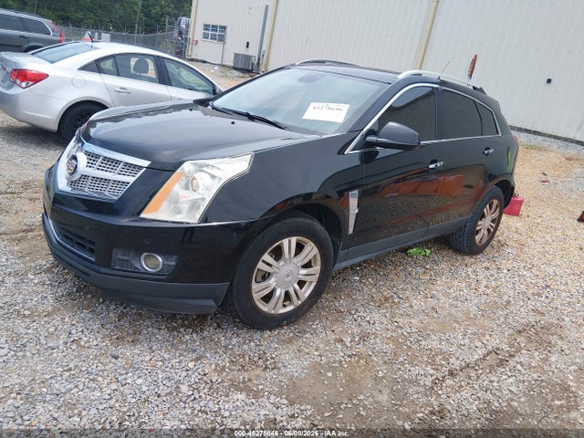 Продажа на аукционе авто 2011 Cadillac Srx Luxury Collection, vin: 3GYFNAEYXBS678843, номер лота: 45278646