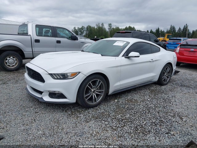 Ford Mustang Ecoboost 2015 1FA6P8TH4F5335866 Image 2