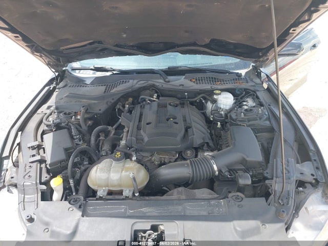 Ford Mustang Ecoboost 2019 1FA6P8TH7K5130164 Image 10