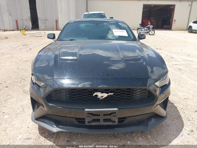Ford Mustang Ecoboost 2019 1FA6P8TH7K5130164 Image 12