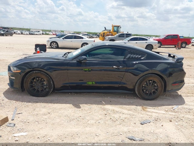 Ford Mustang Ecoboost 2019 1FA6P8TH7K5130164 Image 14