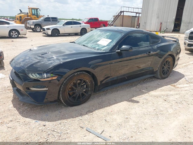 Ford Mustang Ecoboost 2019 1FA6P8TH7K5130164 Image 2