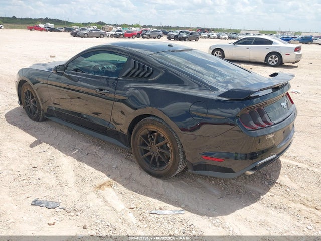 Ford Mustang Ecoboost 2019 1FA6P8TH7K5130164 Image 3
