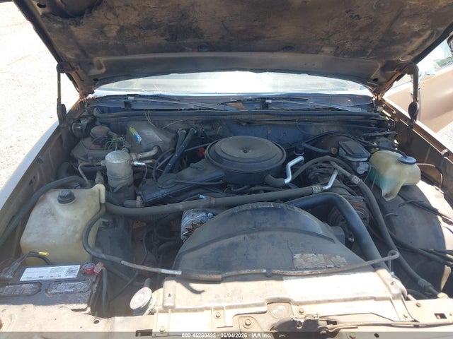 1981 Chevrolet El Camino მანქანა იყიდება აუქციონზე, vin: 1GCCW80KXBD485383, აუქციონის ნომერი: 45280432