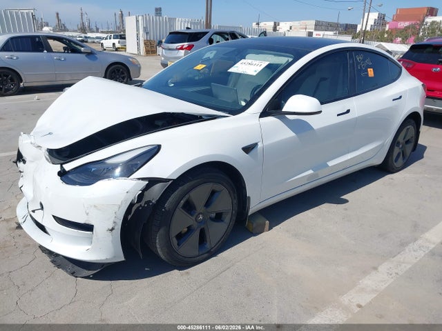 Tesla Model 3 Rear-wheel Drive 2023 5YJ3E1EA2PF565898 Image 2