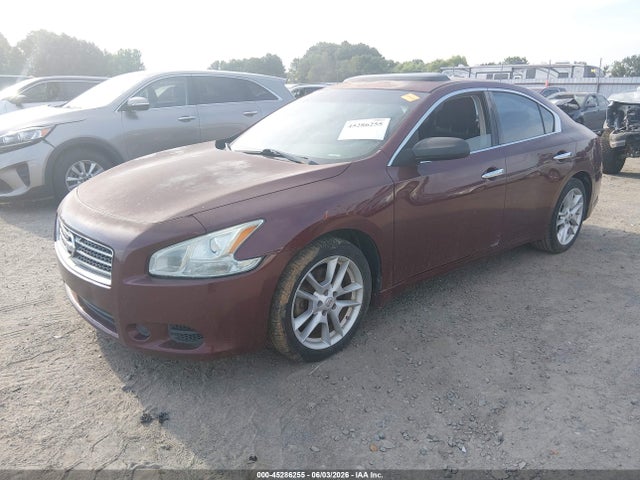 Продажа на аукционе авто 2010 Nissan Maxima 3.5 S, vin: 1N4AA5AP8AC849745, номер лота: 45286255
